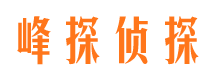 石拐市婚外情调查